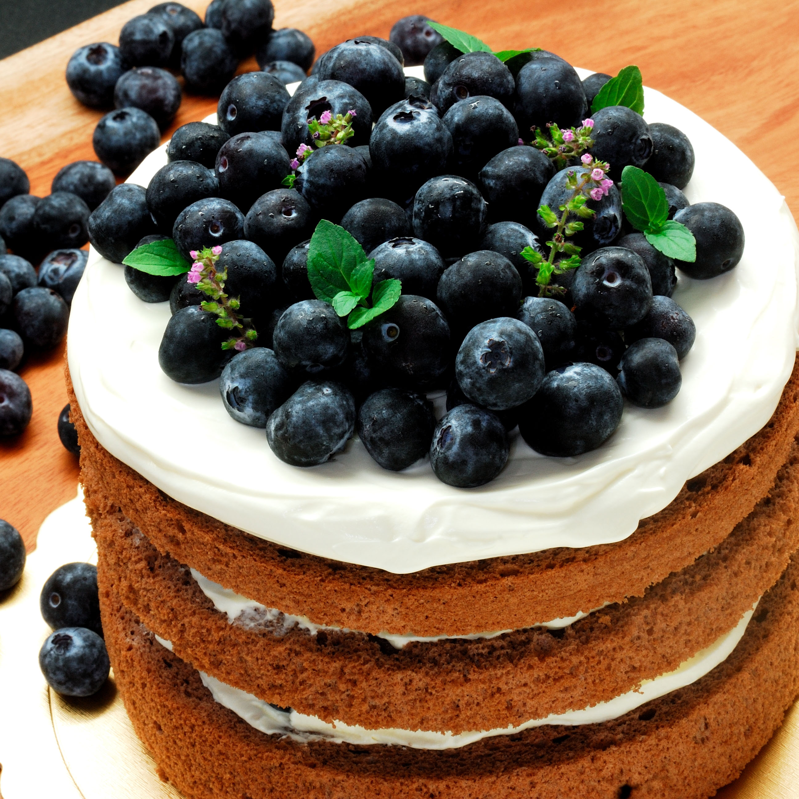 六吋藍莓巧克力裸蛋糕